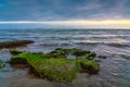 Message in a bottle on rock covered with green algae, asking for help, SOS Royalty Free Stock Photo