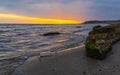 Message in a bottle on a sea coast, asking for help, SOS Royalty Free Stock Photo