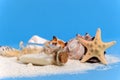 Message bottle with sea stars or starfish and shells on white sand shore Royalty Free Stock Photo