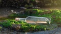 Message in a bottle on a stone covered with seaweed