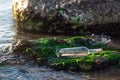 Message in a bottle on a stone covered with seaweed Royalty Free Stock Photo