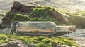 Message in a bottle on a stone covered with seaweed Royalty Free Stock Photo