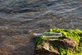 Message in a bottle on a stone covered with seaweed Royalty Free Stock Photo