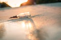 Message in the bottle washed ashore against the sunset. Bottle with a message Royalty Free Stock Photo