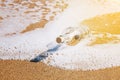 Message in a bottle washed up by the sea