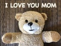 The message that I LOVE YOU MOM by cute teddy bear