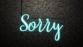 The message Sorry neon light on Brick wall bcakground Royalty Free Stock Photo