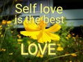 Short message says Self love is the best love on yellow cosmos field.