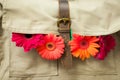 messenger bag with colorful gerberas seen through flap