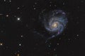 Messier 101 or Pinwheel galaxy in the constellation Ursa Major taken with CCD camera and medium focal length telescope