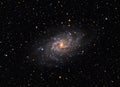 Messier 33 Triangulum Galaxy Royalty Free Stock Photo