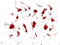 Messy blood blot, red drops on white background. Vector illustration, maniac style. Big splashes