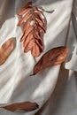 Messy brown fall leaves on neutral beige linen crumpled cloth with natural sunlight shadows, aesthetic minimalist autumn