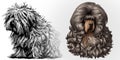 Messy and groomed dogs canine vector graphics illustration