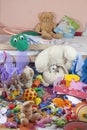 Messy kids room with toys