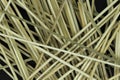 Messy looking background of natural bamboo skewers Royalty Free Stock Photo