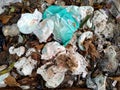 a messy pile of baby diapers in the yard