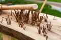 A messy pile of rusty nails and hammers on a wooden board Royalty Free Stock Photo