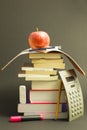 Messy pile of school books with red apple Royalty Free Stock Photo