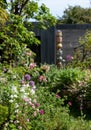 Messy unkempt garden in London UK with rock garden. Aquilegia flowers in the foreground.