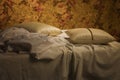 Messy unmade bed with pillow and quilt cover Royalty Free Stock Photo