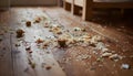 Messy wooden floor scattered with rice grains and vegetable bits after baby first solid feeding Royalty Free Stock Photo