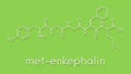 Met-enkephalin endogenous opioid peptide molecule. Skeletal formula. Royalty Free Stock Photo