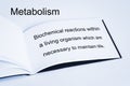 Metabolism Concept and Definition Royalty Free Stock Photo