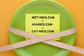 Metabolism Anabolism Catabolism