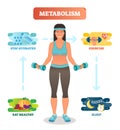 Metabolism concept vector illustration diagram,biochemical body cycle.Eating healthy,drinking water,exercising and sleeping well.