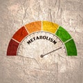 Metabolism Level Concept