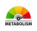 Metabolism level scale, speedometer, indicators. Metabolism medical.