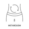 Metabolism line icon in vector, illustration of body with arrows on belly.