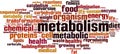 Metabolism word cloud