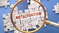 Metacognition as a complex subject