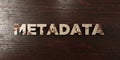 Metadata - grungy wooden headline on Maple - 3D rendered royalty free stock image