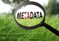 Metadata