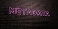 METADATA -Realistic Neon Sign on Brick Wall background - 3D rendered royalty free stock image