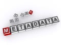 metadata word block on white Royalty Free Stock Photo