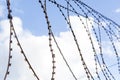 Barbed wire against blue sky with clouds Royalty Free Stock Photo