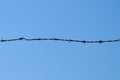 Metal barbed wire against clear blue sky Royalty Free Stock Photo