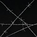 Metal barbed wire on black background. Royalty Free Stock Photo