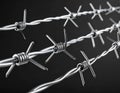 Metal barbed wire on black background. Royalty Free Stock Photo