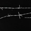 Metal barbed wire on black background. Royalty Free Stock Photo