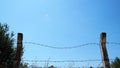Metal barbed wire on concrete pillars against clear blue sky background Royalty Free Stock Photo