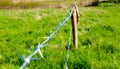 Metal barbed wire fence of a farm field. Royalty Free Stock Photo
