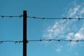 Metal barbed wire on sky Royalty Free Stock Photo