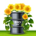 Metal barrel with bio fuel and sunflowers vector background Royalty Free Stock Photo