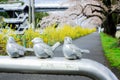 Metal barrier with lovely bird sculptures on the sidewalk along Shiroishi river banks in Miyagi,Tohoku,Japan in spring.