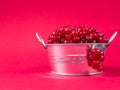 A metal basin filled with red currants on pink background Royalty Free Stock Photo